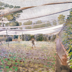 Eric Ravilious 'Strawberry Nets'
