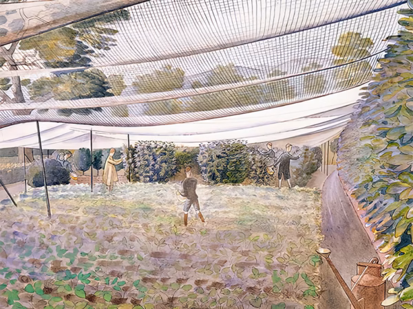 Eric Ravilious 'Strawberry Nets'