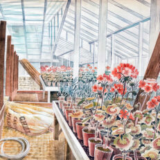 'Geraniums and Carnations' Eric Ravilious, watercolour, 1938.