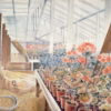 Eric Ravilious 'Geraniums and Carnations' Eric Ravilious, watercolour, 1938.