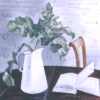 Eric Ravilious 'Still Life with Acanthus Leaves', watercolour, 1938