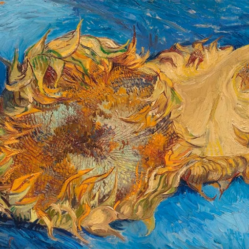 ‘Sunflowers’, Vincent van Gogh, oil on canvas, 1887.