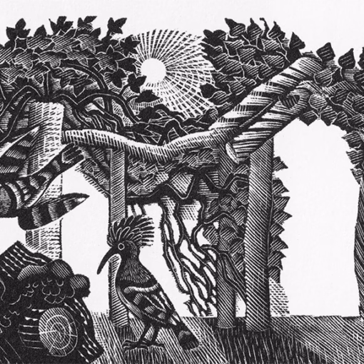 'Hoopoes', Eric Ravilious,wood engraving, 1938.