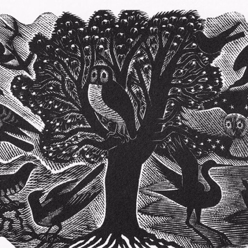 'Requirements of an Ornithologist', Eric Ravilious,wood engraving, 1938.