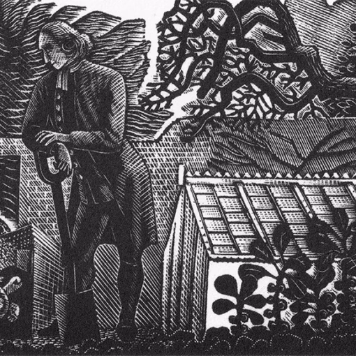 'The Tortoise in the Kitchen Garden', Eric Ravilious, wood engraving, 1938.