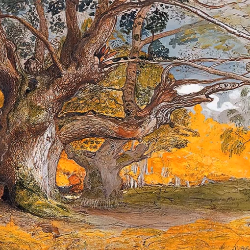 ‘Oak Trees, Lullingstone Park', Samuel Palmer, pen & ink, watercolour, 1828.