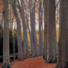 'Avenue of Plane Trees', Santiago Rusiñol, oil on canvas, 1916.