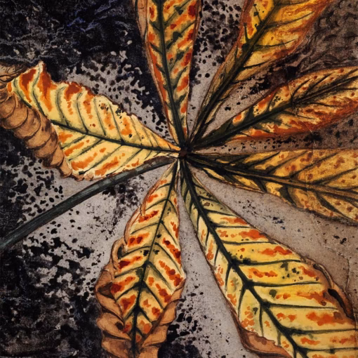 ‘Chestnut’, Julie de Graag (1887-1924), chalk & watercolour.