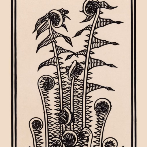 ‘Ferns’, Julie de Graag, print from a linocut,1920.