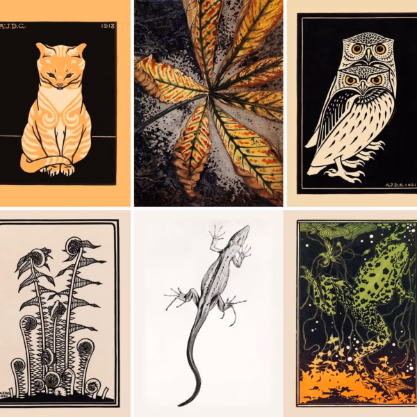 Julie de Graag Postcard Panel