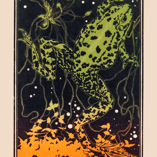 ‘Swimming Frog’, Julie de Graag (1887-1924), watercolour, ink, deckpaint.