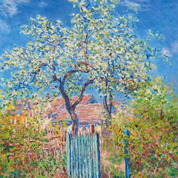 ‘Poirier En Fleurs’, Claude Monet, oil on canvas, 1885.