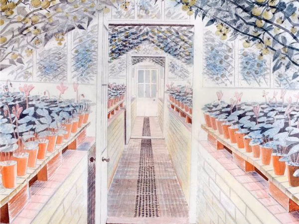 Eric Ravilious Birthday Cards: ‘The Greenhouse: Cyclamen and Tomatoes’.