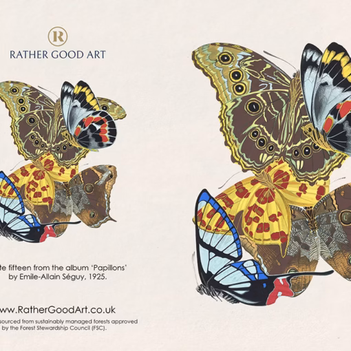 Alternative view of Emile-Allain Séguy 'Papillons' Greetings Card (Plate Fifteen).