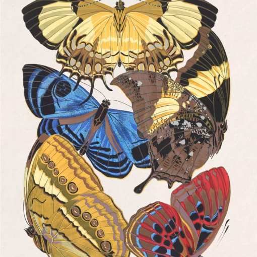 Plate four from the album ‘Papillons’ by Emile-Allain Séguy. Published in 1925 by Tolmer Éditeur.