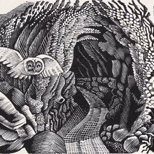 'Hollow Lane', Eric Ravilious, wood engraving, 1938.