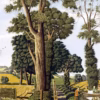 ‘Struggling with a Huge Canvas’, Simon Palmer, watercolour with ink and gouache, 2001.