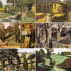 Simon Palmer Postcards - Collection (No. 2).
