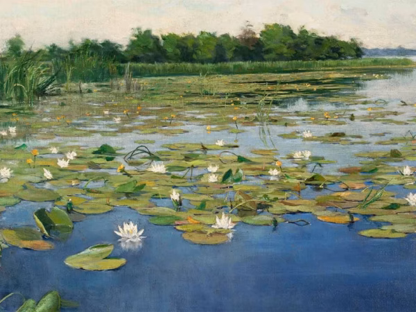 Water Lilies Greetings Card: ‘Water Lilies’, Henryk Weyssenhoff, oil on canvas, 1903.