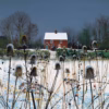 Paul Evans Christmas Cards: ‘Winter Cottage’, Paul Evans, ink & acrylic, 2021.