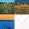 Paul Evans Greetings Cards Collection No. 6