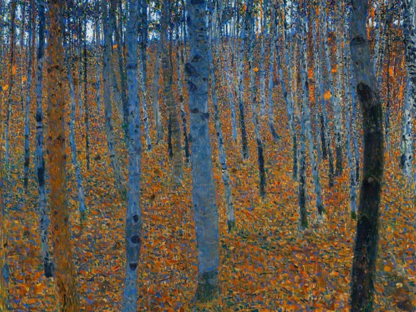 Gustav Klimt Cards: ‘Birch Grove I’, Gustav Klimt, oil on canvas, 1902.