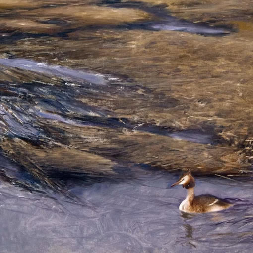 Bruno Liljefors Postcards: ‘Grebe’, Bruno Liljefors, oil on canvas, 1907.