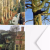The Simon Palmer Collection No. 11.