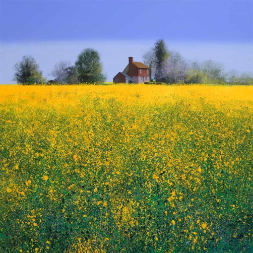 Paul Evans Cards: The Colours of Spring (Waggoners Cottage)’, Paul Evans, ink and acrylic, 2023.