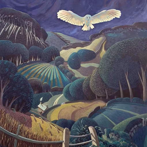 ‘The Owl’, Jo March, acrylic on board.