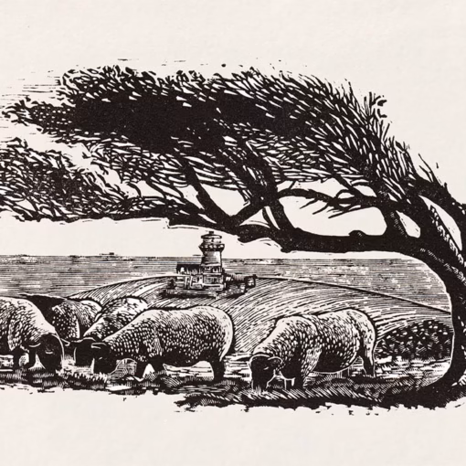 ‘Belle Tout from Went Hill’, Keith Pettit, wood engraving.
