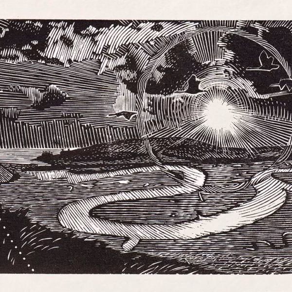 ‘Dragon Coils’, Keith Pettit, wood engraving.
