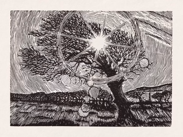 ‘A Promise of Warmth’, Keith Pettit, wood engraving.
