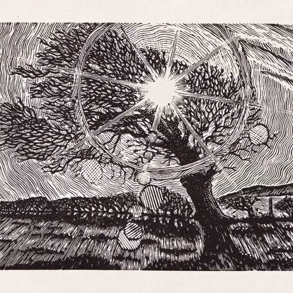 ‘A Promise of Warmth’, Keith Pettit, wood engraving.