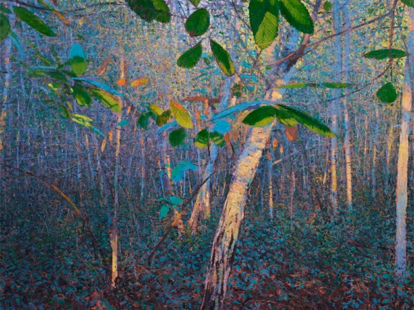 Andrew Gifford Cards: ‘Sweet Chestnut Leaves in Early Autumn II’, Andrew Gifford, oil on canvas, 2023.