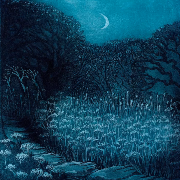 Morna Rhys Greetings Cards: ‘The Flowering Stream Morna Rhys, copperplate etching. Image © Morna Rhys