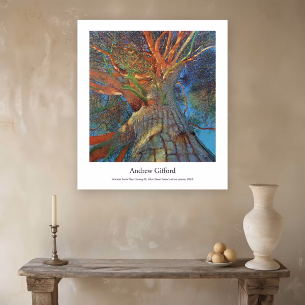 Andrew Gifford Prints: ‘Ancient Scots Pine Canopy II, Glen Tanar Estate’, Andrew Gifford, oil on canvas, 2022.