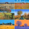 Paul Evans Postcard Collection No. 2.