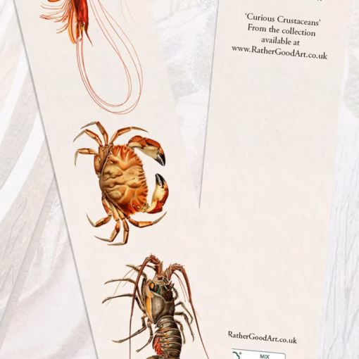 ‘Curious Crustaceans’