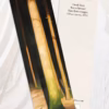 Hans Emmenegger 'Forest Interior' Bookmark.