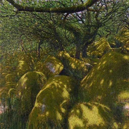 Andrew Gifford ‘Light on Mossy Boulders, Wistman's Wood I’, oil on canvas, 2024.