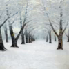 ‘Tunnel of Trees in Winter’, Birge Harrison (1854-1929), oil on canvas, 1908.