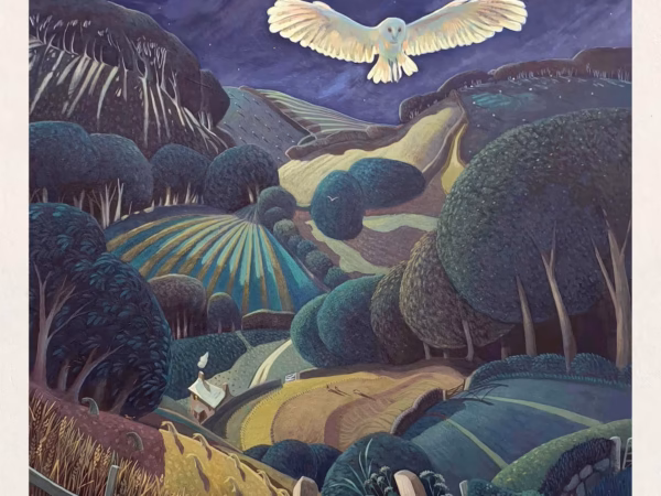 ‘The Owl’, Jo March, acrylic on board. A4 Board Print.