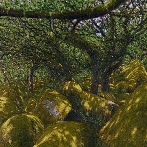 ‘Light on Mossy Boulders, Wistman’s Wood I’ Andrew Gifford, oil on canvas, 2024.