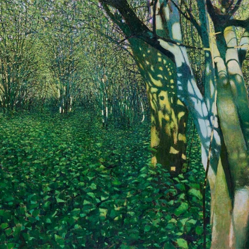 ‘Spring Light on Hawthorn and Nettles, South Downs’ Andrew Gifford, oil on canvas, 2024.