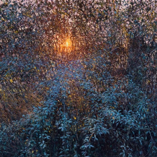 ‘Frost on Bramble Hedge, Barcombe Mills I’ Andrew Gifford, oil on canvas, 2024.