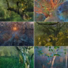 The Andrew Gifford Postcard Collection.