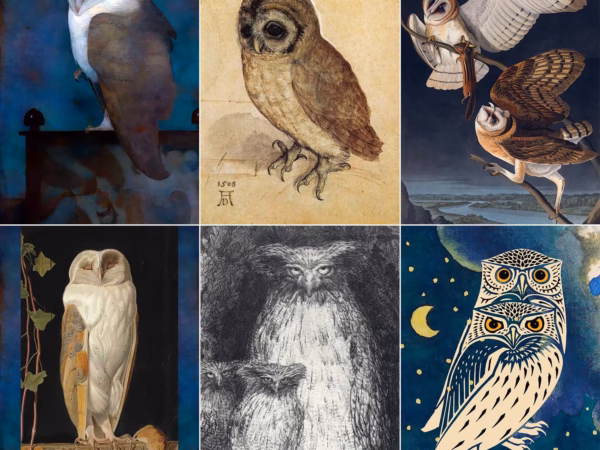 The Owl Light Postcard Collection.