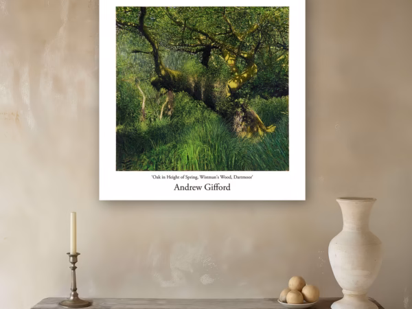 Andrew Gifford Prints: ‘Oak in Height of Spring, Wistman's Wood, Dartmoor’, oil on canvas, 2024.
