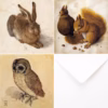 Albrecht Dürer Greetings Cards: Animals.